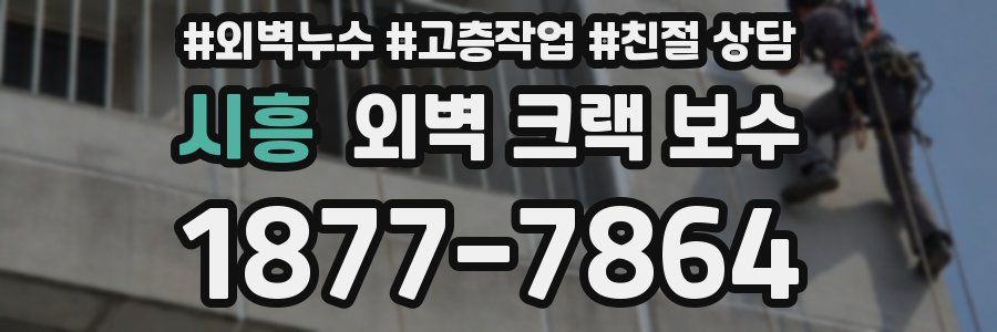 시흥 외벽 크랙 보수