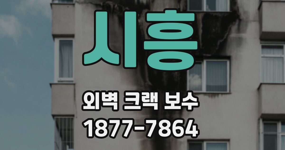 시흥 외벽 크랙 보수