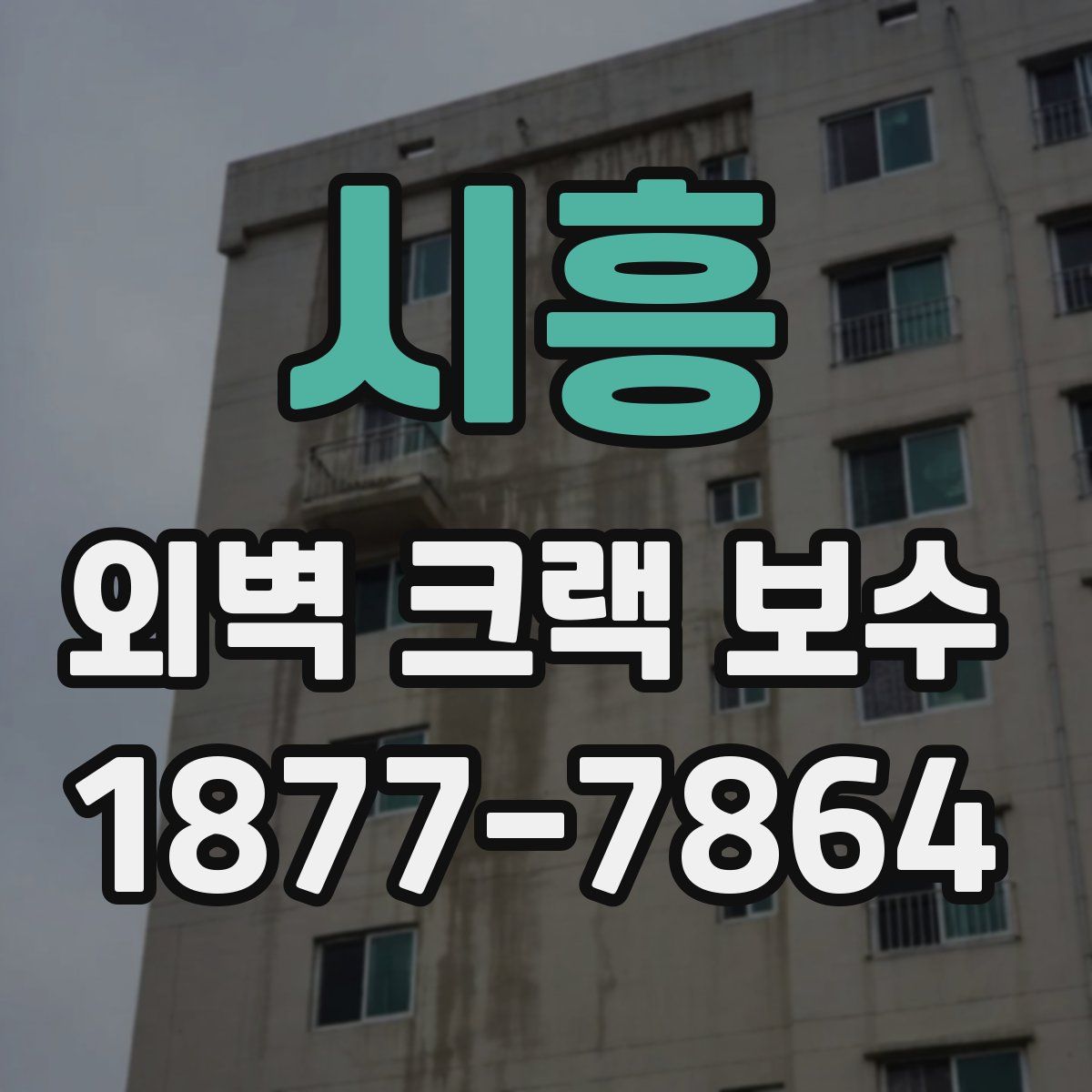 시흥 외벽 크랙 보수