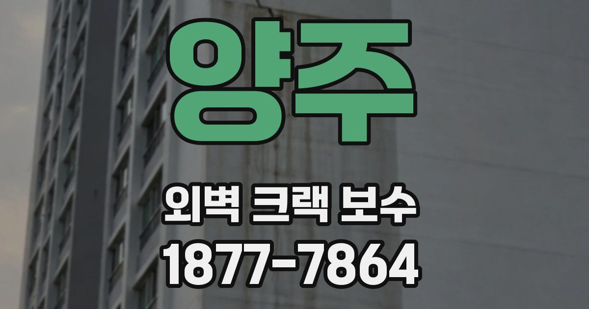 양주 외벽 크랙 보수