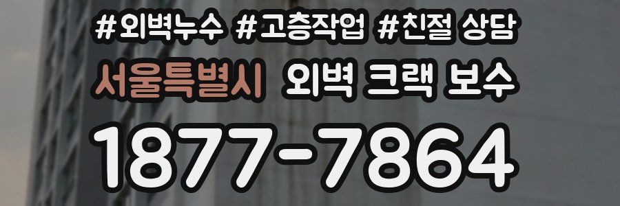 서울특별시 외벽 크랙 보수