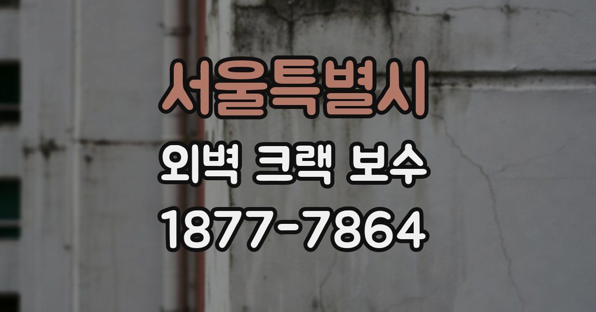 서울특별시 외벽 크랙 보수