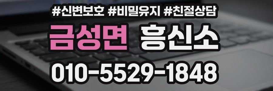 금성면 흥신소