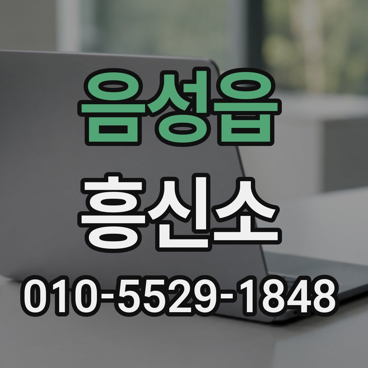 음성읍 흥신소