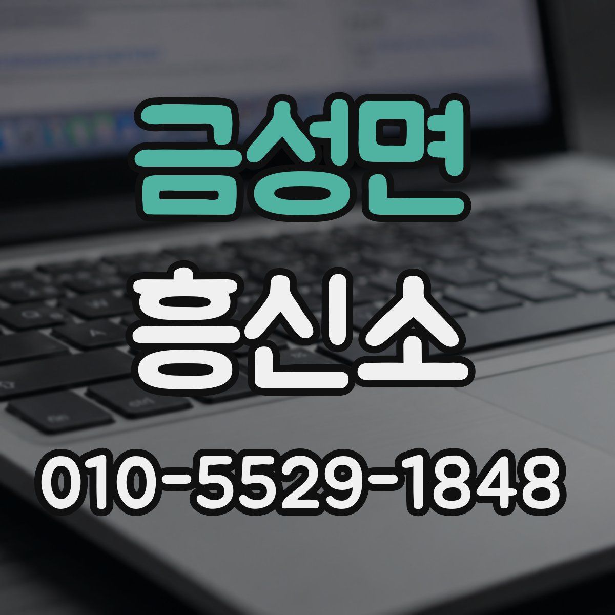 금성면 흥신소