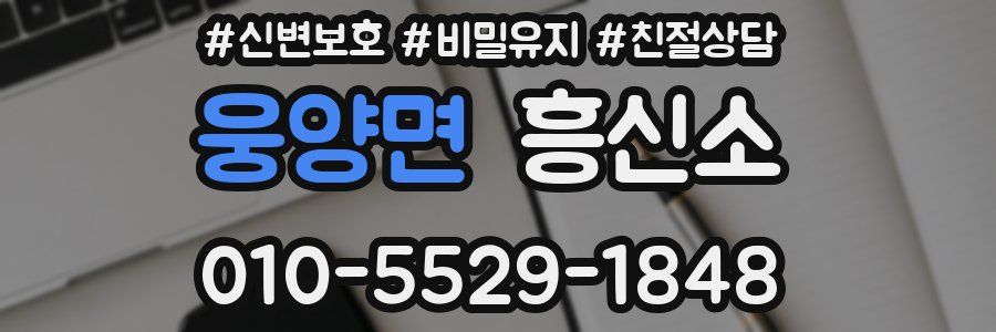 웅양면 흥신소