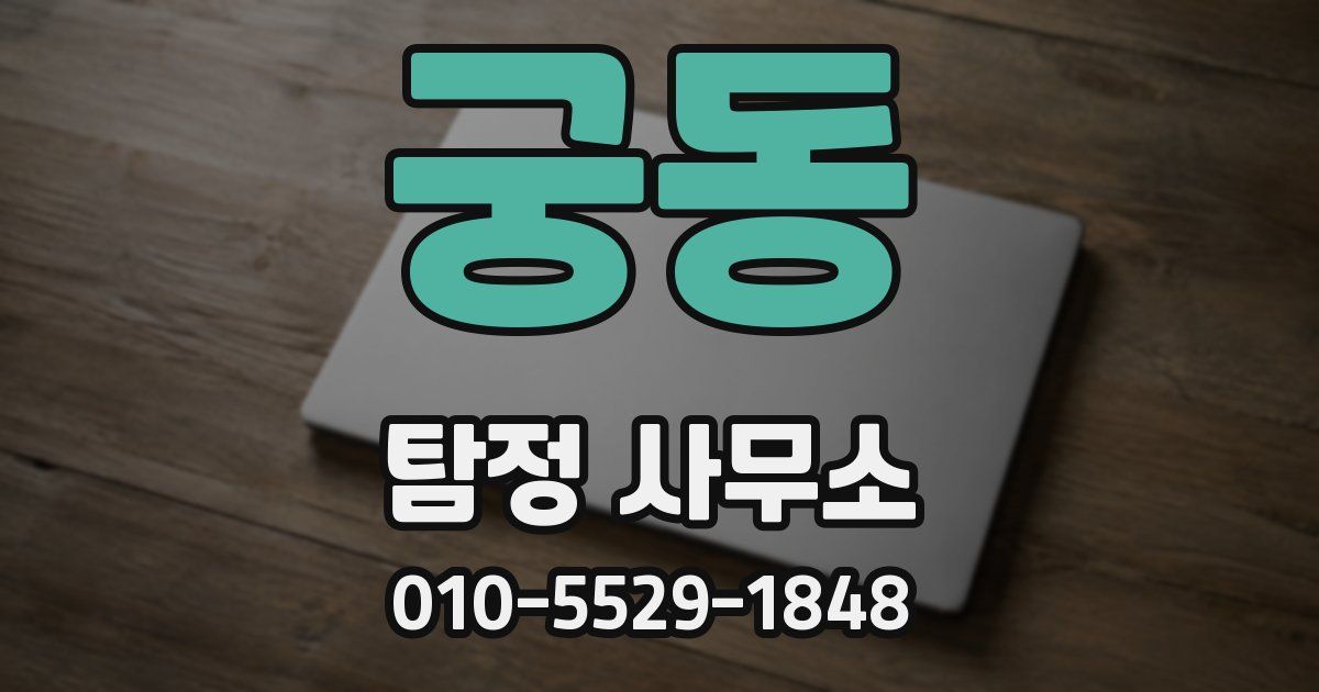 궁동 탐정 사무소