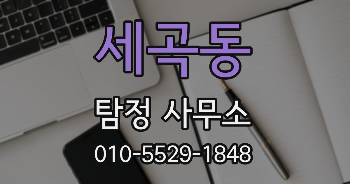세곡동 탐정 사무소