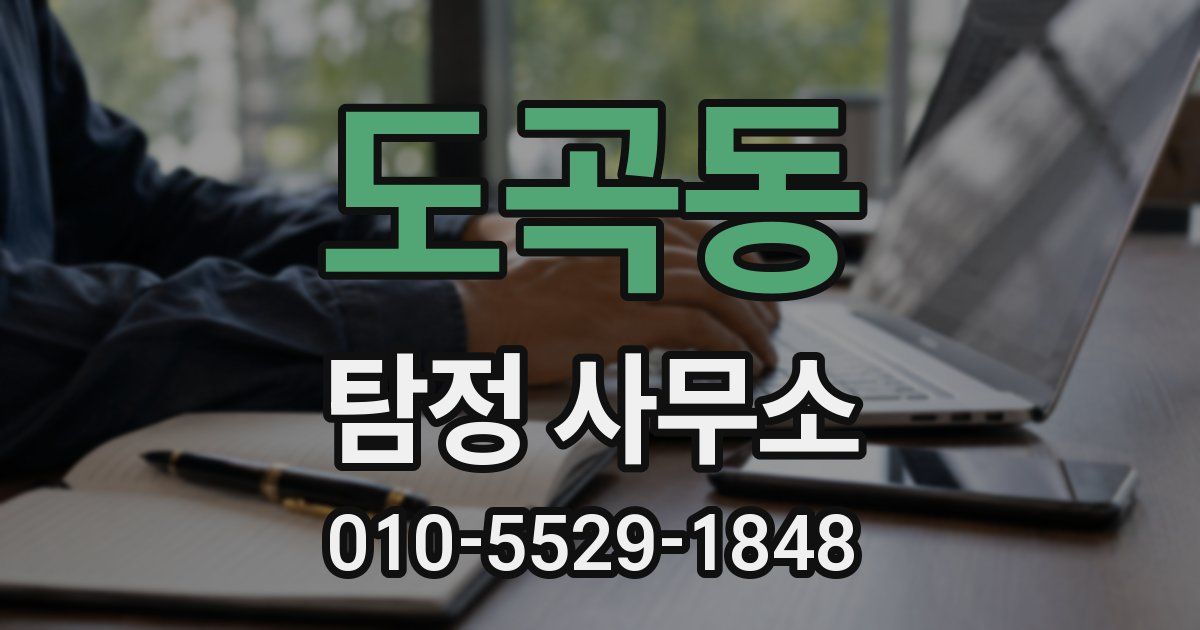 도곡동 탐정 사무소