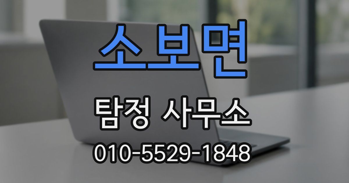 소보면 탐정 사무소
