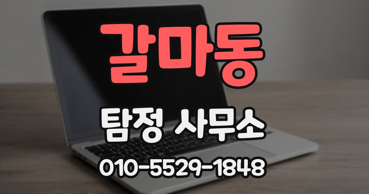 갈마동 탐정 사무소