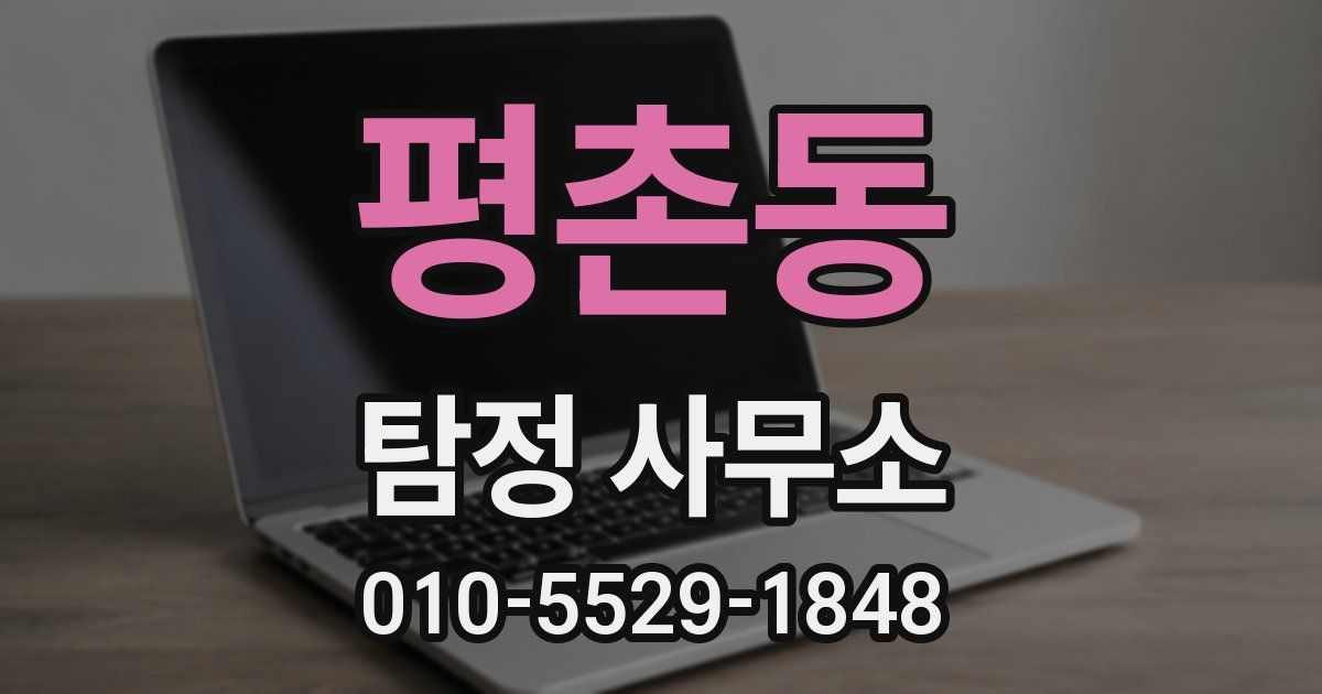 평촌동 탐정 사무소
