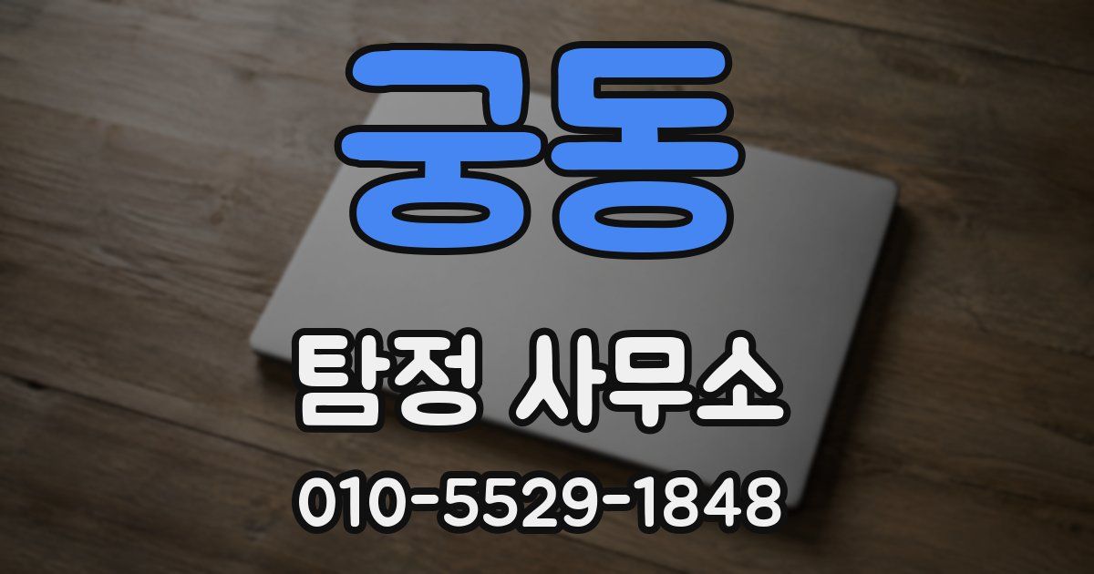 궁동 탐정 사무소