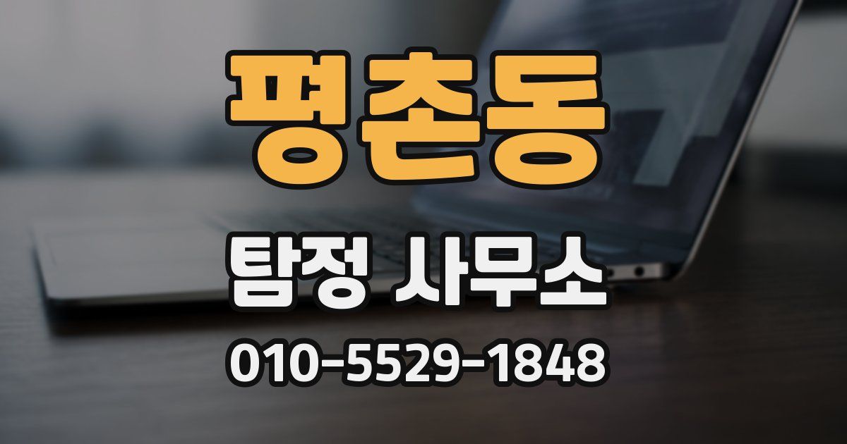 평촌동 탐정 사무소