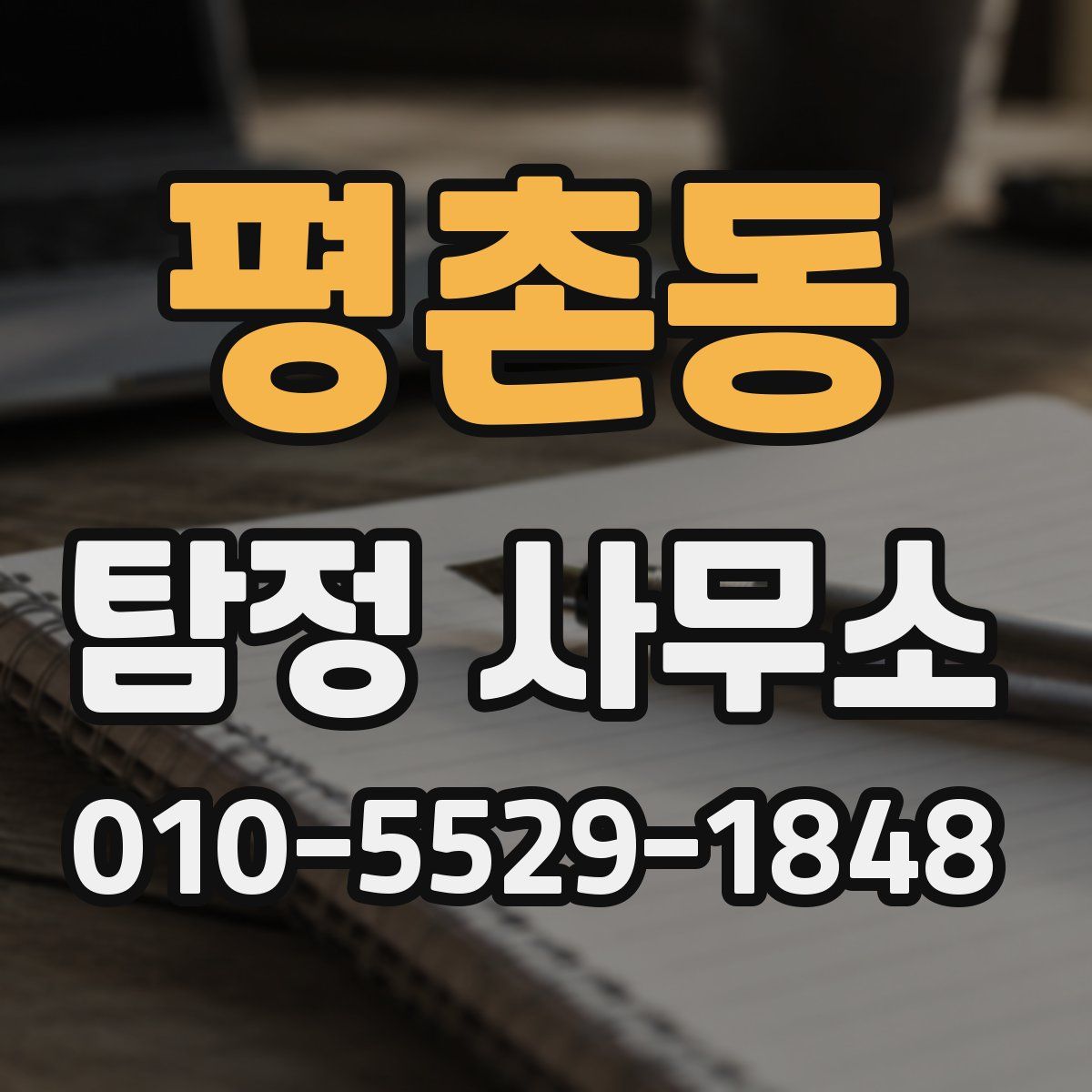 평촌동 탐정 사무소