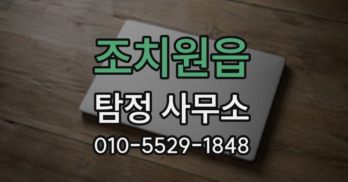 조치원읍 탐정 사무소