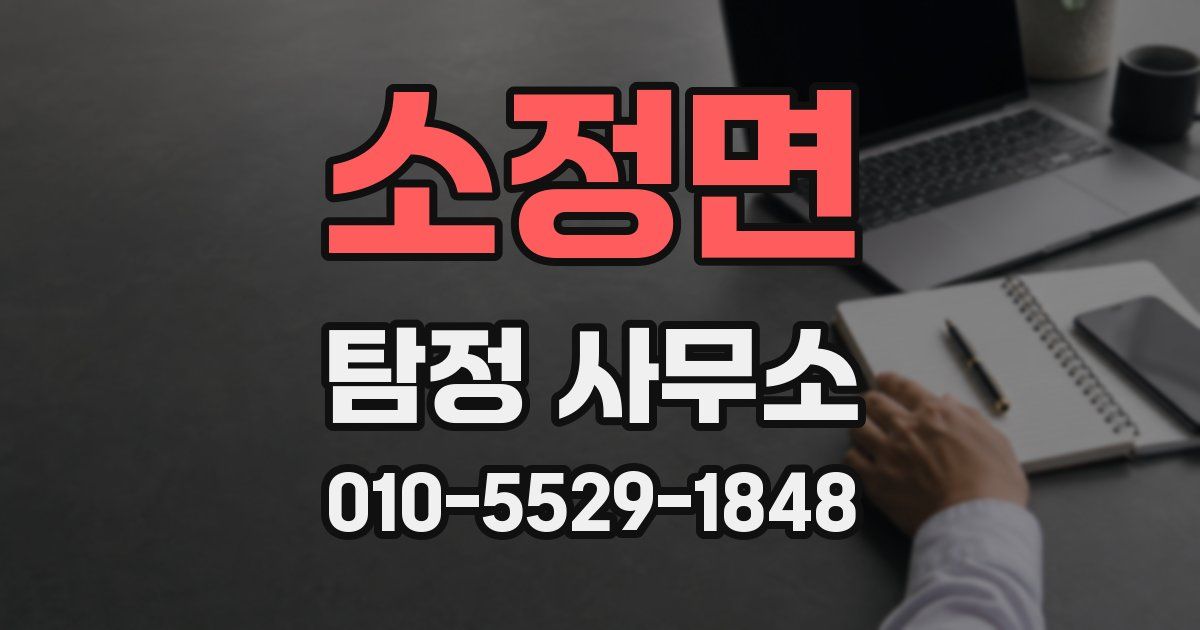 소정면 탐정 사무소