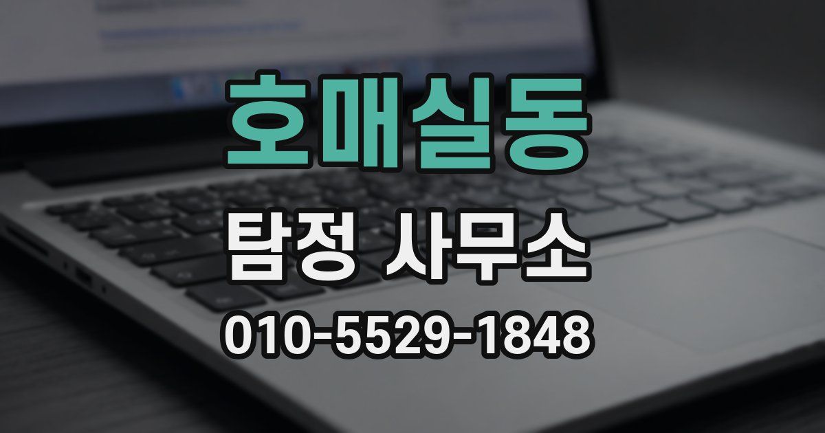 호매실동 탐정 사무소