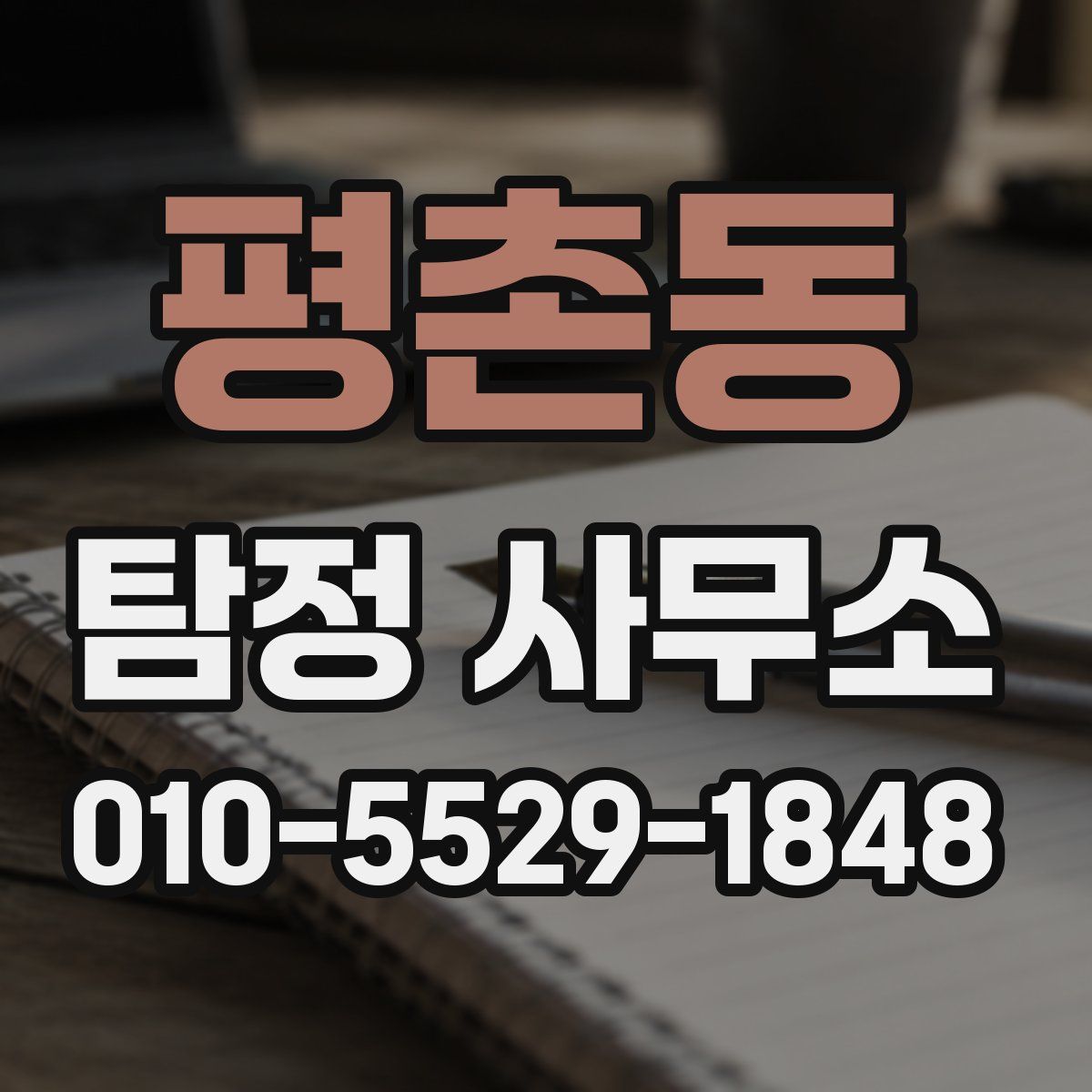 평촌동 탐정 사무소