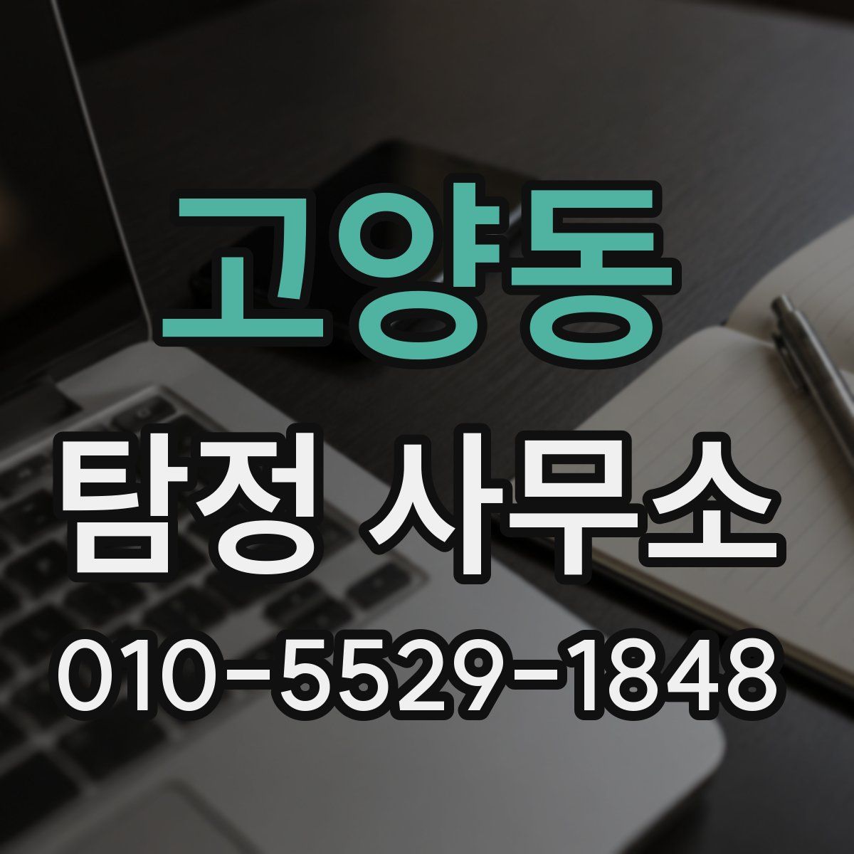 고양동 탐정 사무소