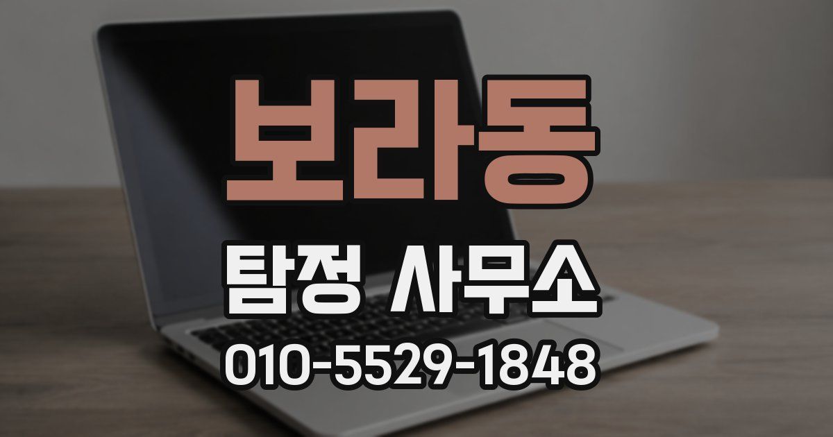 보라동 탐정 사무소