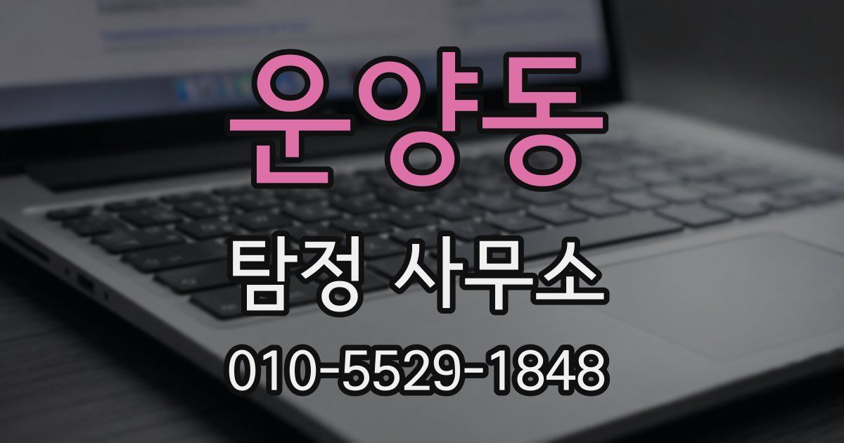 운양동 탐정 사무소