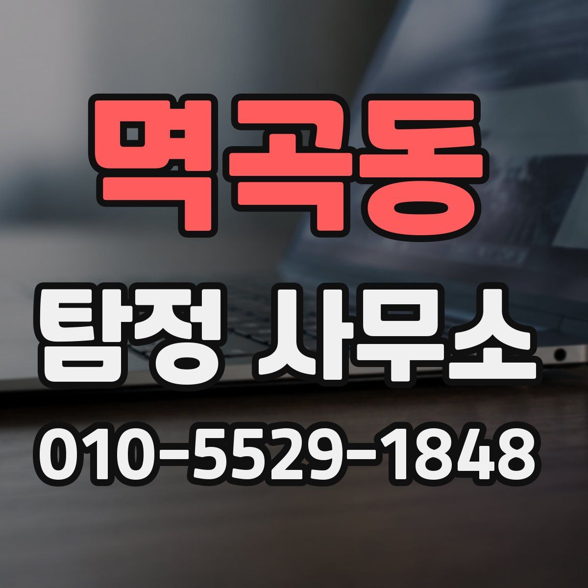 멱곡동 탐정 사무소