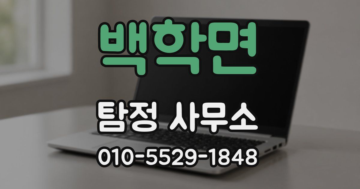 백학면 탐정 사무소