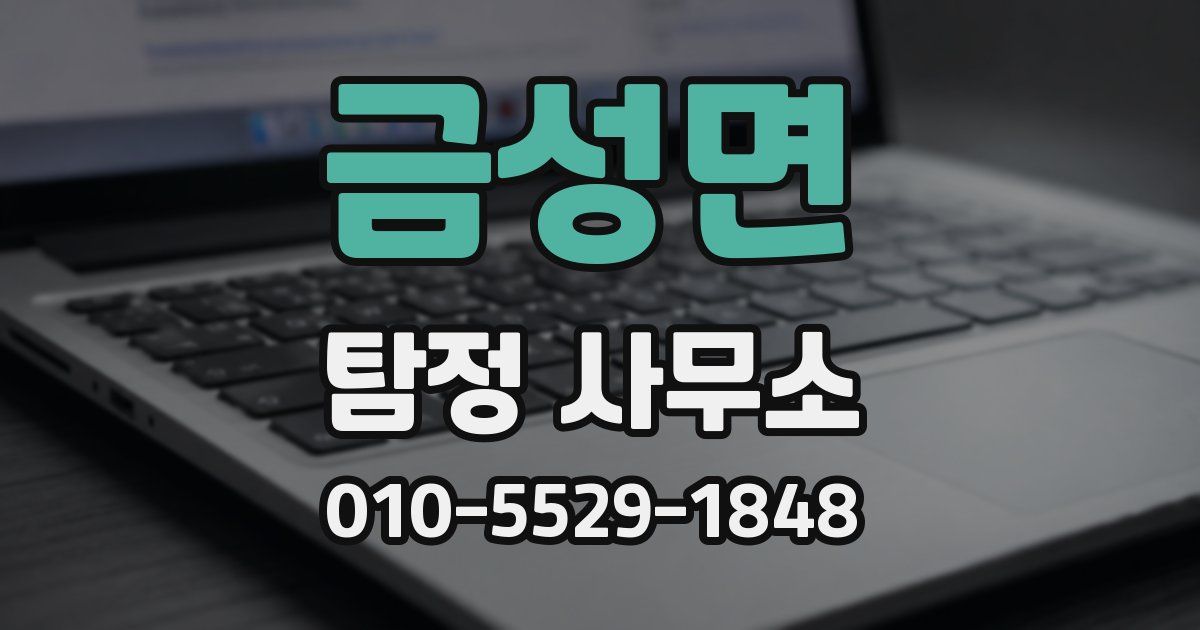금성면 탐정 사무소