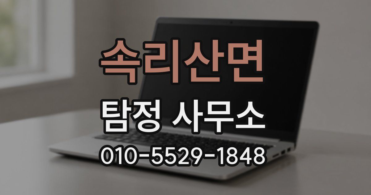 속리산면 탐정 사무소