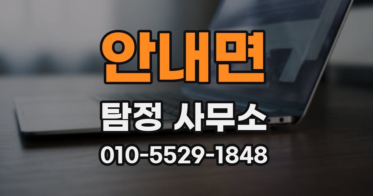 안내면 탐정 사무소