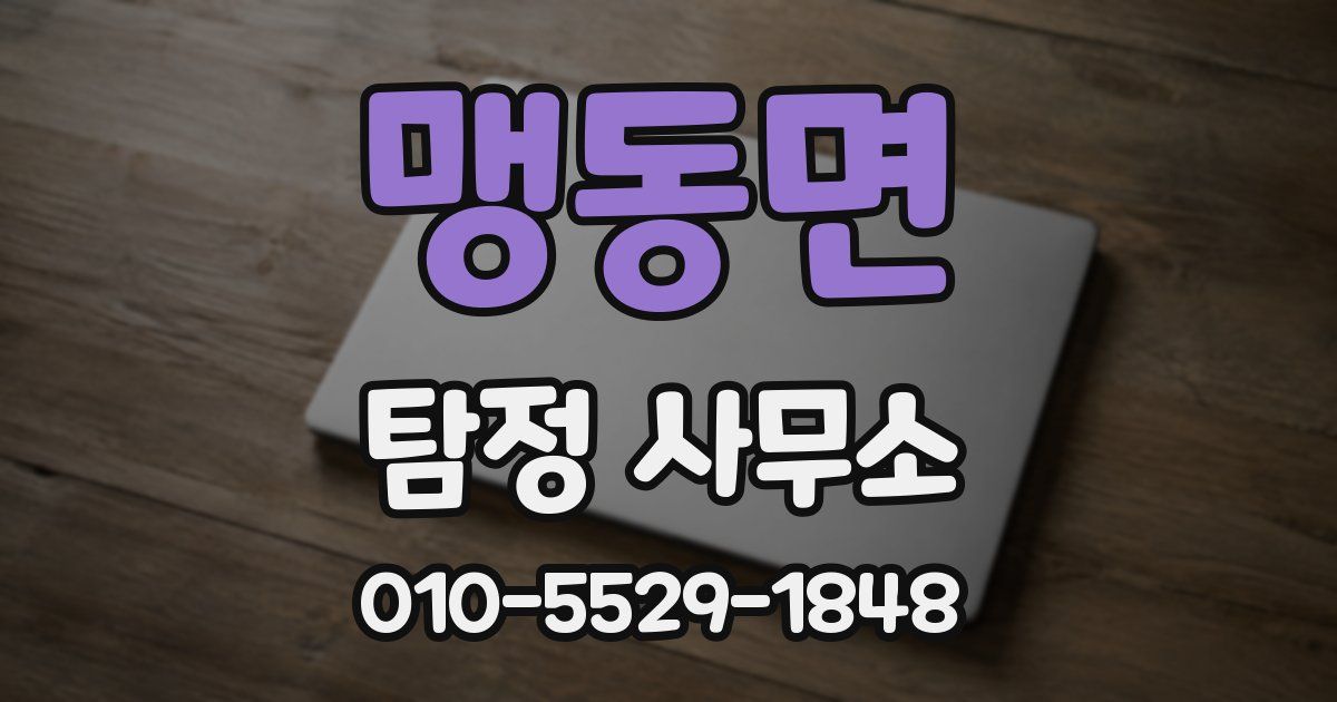 맹동면 탐정 사무소