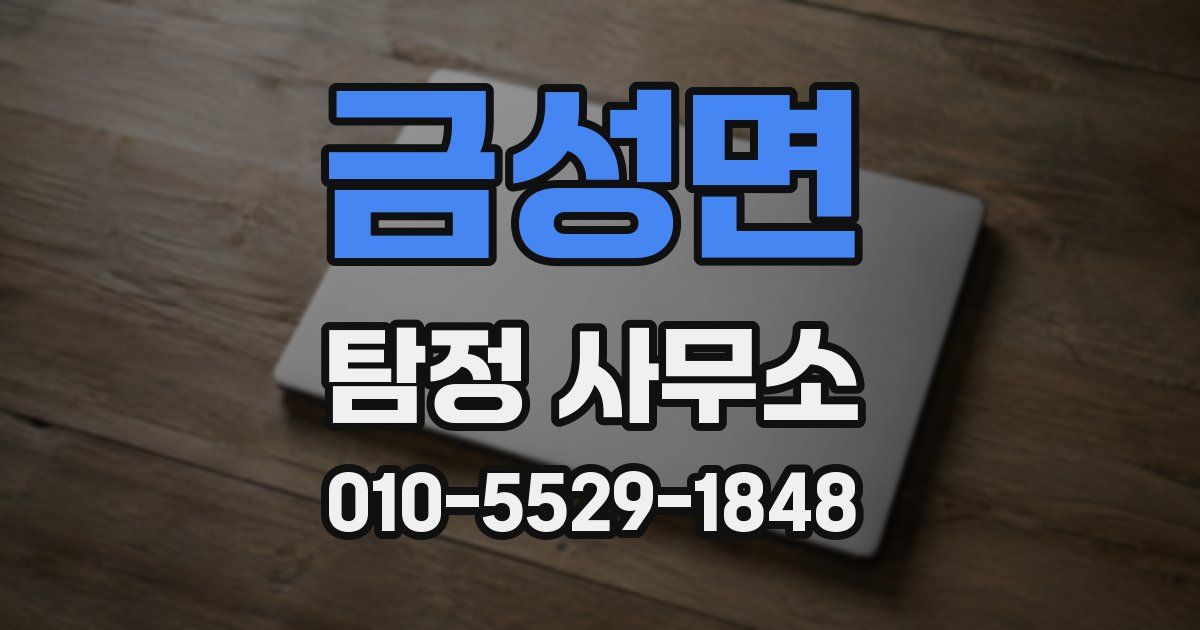금성면 탐정 사무소