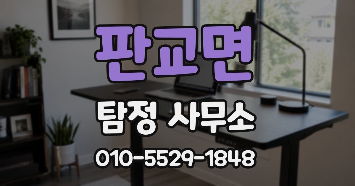 판교면 탐정 사무소