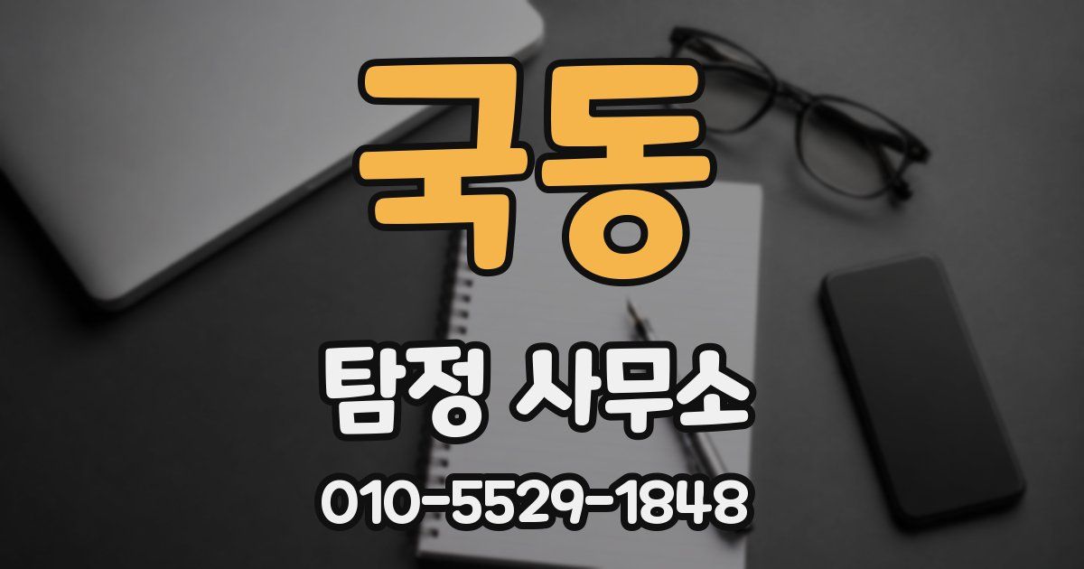국동 탐정 사무소