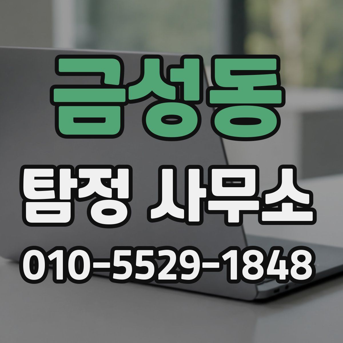 금성동 탐정 사무소
