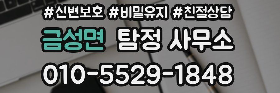 금성면 탐정 사무소