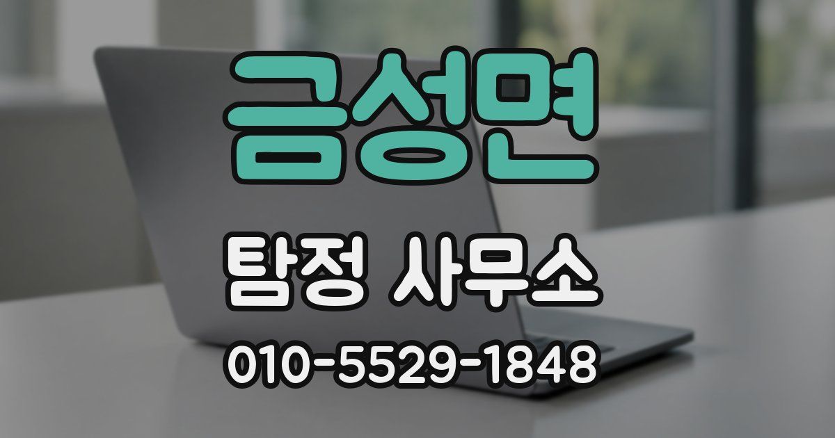 금성면 탐정 사무소