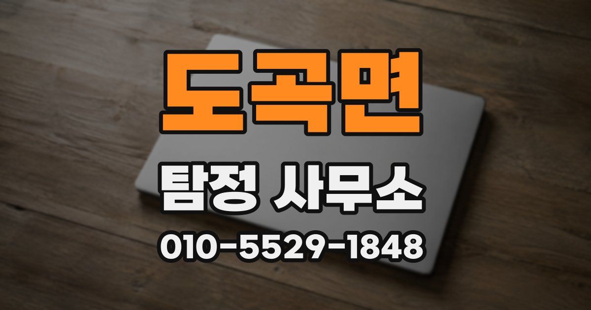 도곡면 탐정 사무소