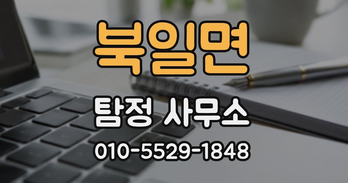 북일면 탐정 사무소