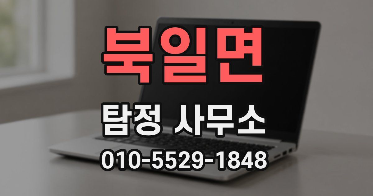 북일면 탐정 사무소