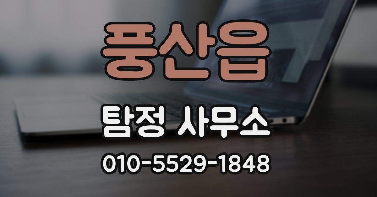 풍산읍 탐정 사무소