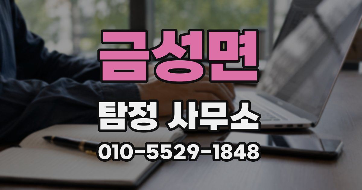 금성면 탐정 사무소