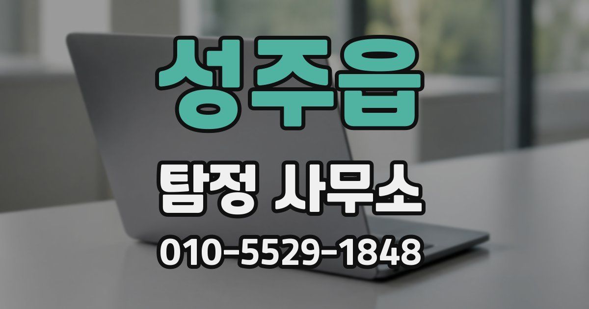 성주읍 탐정 사무소