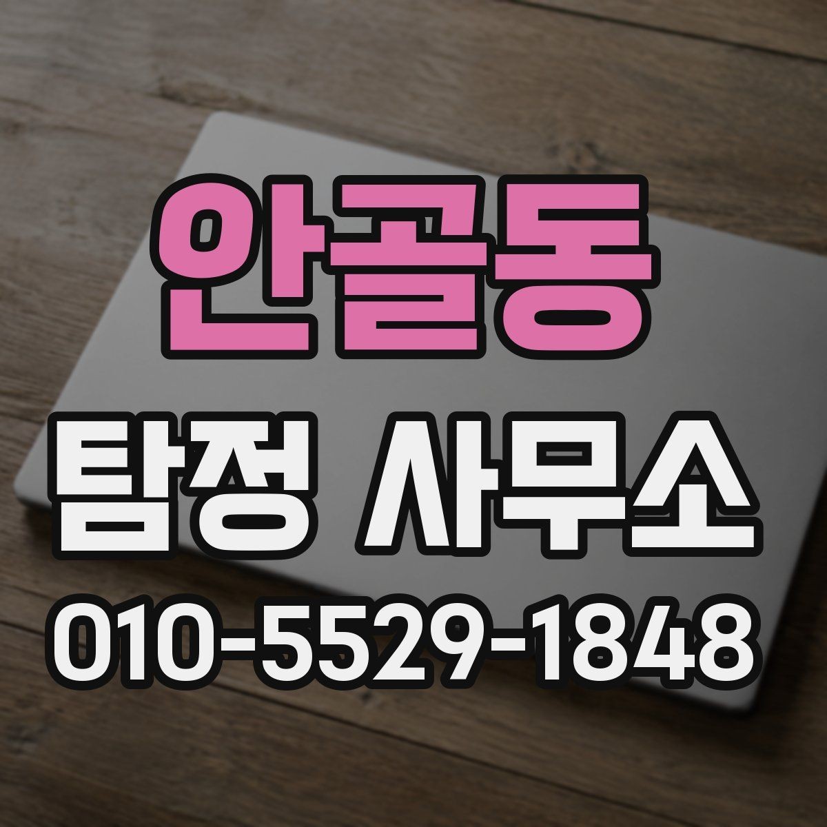 안골동 탐정 사무소 의뢰 영역와 진행 방식