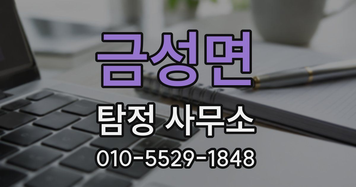 금성면 탐정 사무소