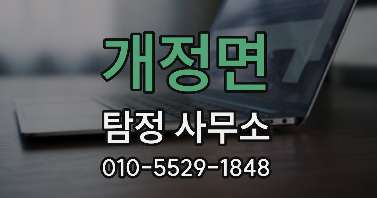 개정면 탐정 사무소