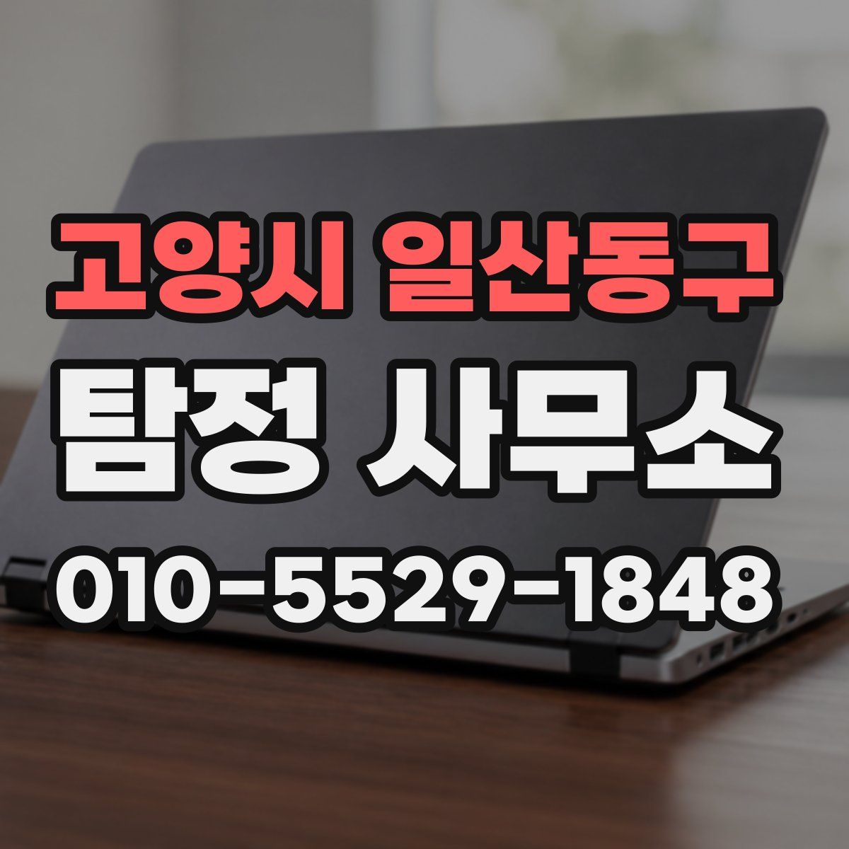 고양시 일산동구 탐정 사무소