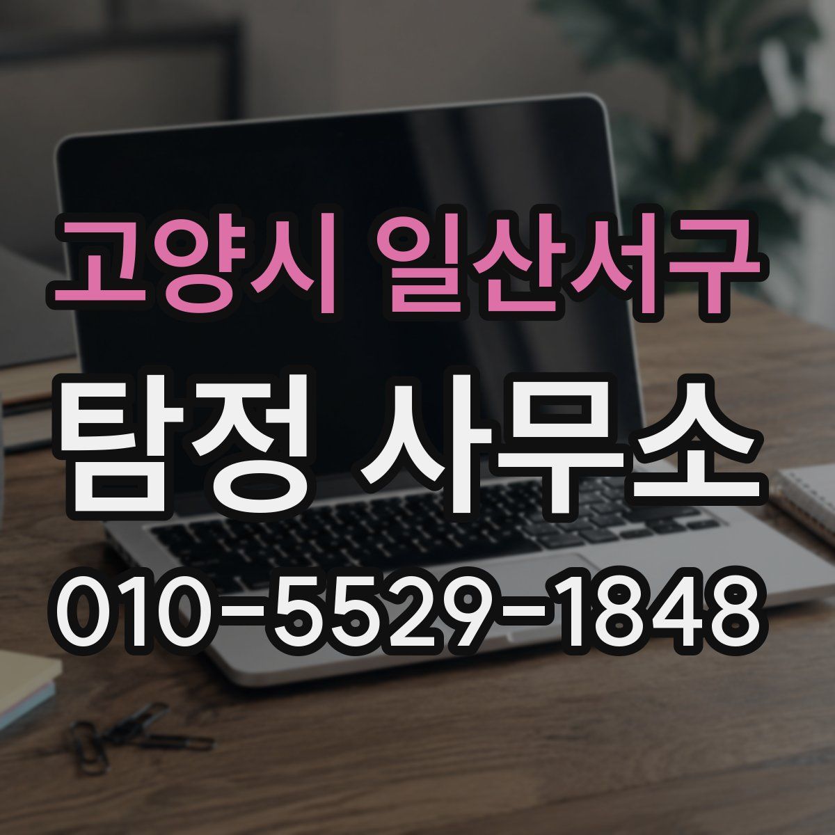 고양시 일산서구 탐정 사무소