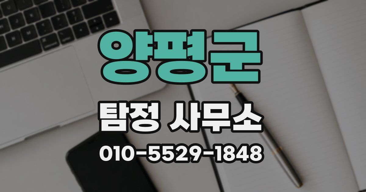 양평군 탐정 사무소